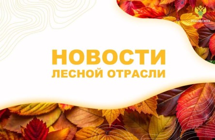AK&M: Рослесхоз: агроуходы за лесными культурами в рамках компенсационного лесовосстановления выполнены на 92%